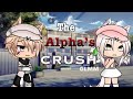 The Alpha’s Crush //Gacha Life [GLMM]