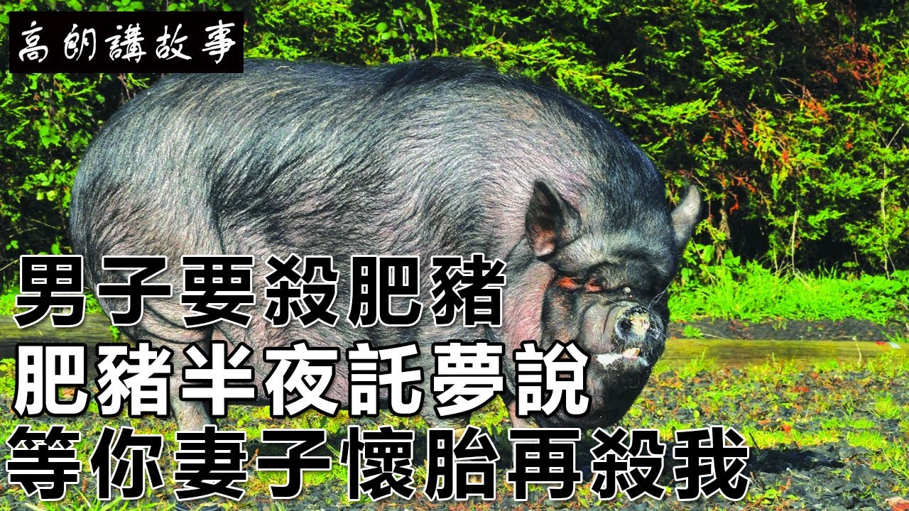 民間故事：算命力氣越來越大，回家後，妻子說：以後我們怎麼生活｜高朗講故事