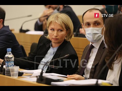 მინისტრები გაერთიანებული კომიტეტების სხდომაზე