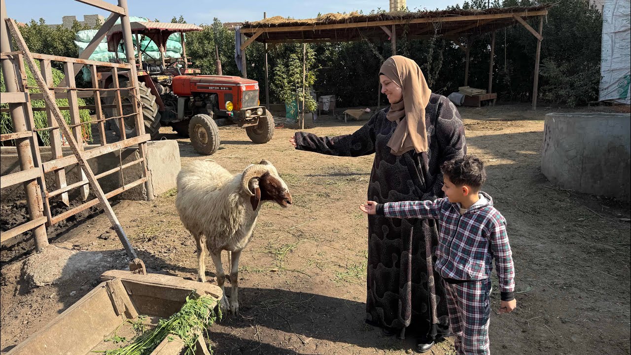ربنا كرمني وسخّرني لعمل الخير من حبه ربه حبب وسخر له عبده اللهم أجعل لنا القبول بين خلقك 