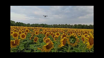 Что такое десикация?.