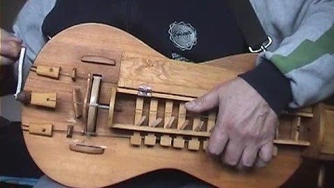 Priletal tut sizoi golub