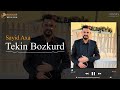 Tekin bozkurd  sayid axa grani