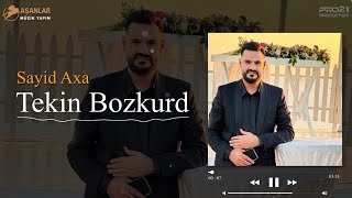 Tekin Bozkurd - Sayid Axa Gırani Resimi