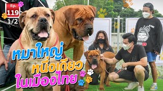 หนึ่งเดียวในเมืองไทย ASIA BIG DOG - เพื่อนรักสัตว์เอ้ย EP.119 [1/2]