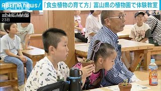 「ハエトリグサ」の秘密は？「食虫植物を育てよう」富山県中央植物園で体験教室(2023年7月23日)