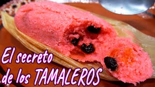 Como hacer TAMALES de DULCE **EL SECRETO DE LOS TAMALEROS**/How to make TAMALES | El Mister Cocina by El Mister Cocina 549,871 views 6 months ago 10 minutes, 33 seconds