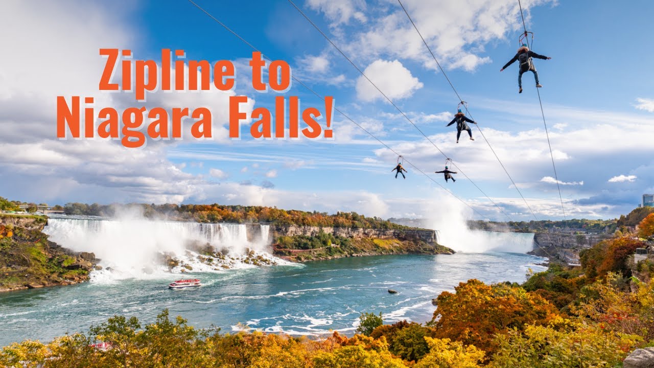 邦楽 NIAGARA FALL STARS 32DH 506 Amazon.co.jp: NIAGARA FALL STARS CD…k-177/32DH506/ナイアガラ