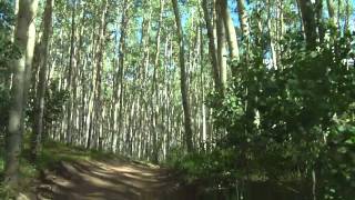 Marci Talks Too Much