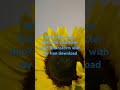 Download here: https://payhip.com/b/THkgM #writing