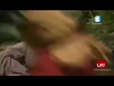 Story'WA kera sakti dan Chu Pat kai