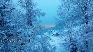 Snow Dreams - Beautiful Falling Heavy Snow - Beautiful Heartwarming Music
