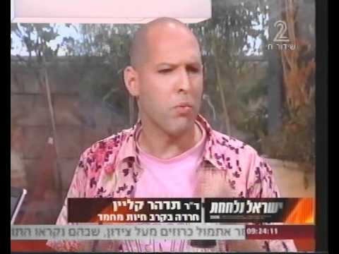 וִידֵאוֹ: טיפול רפואי בכלבים צבאיים פרוסים: חלק 2