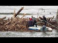 Grand Cascapedia River Removing The Log Jam From Bridge