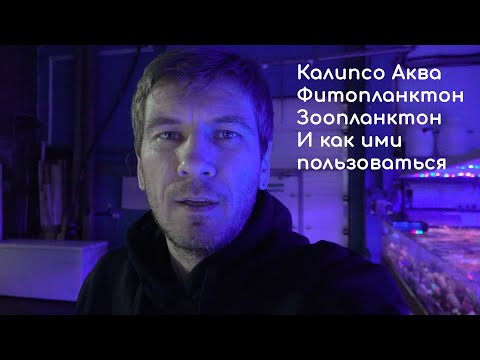 Видео: Зоо и Фитопланктон Калипсо и не только