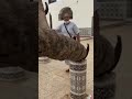 اغرب نخلة بالعالم غرائب غرائب وعجائب العالم نخلة لن تصدق ما تراه اغرب نخلة بالعالم غرائب غرائب وعجائب العالم نخلة لن تصدق ما تراه
