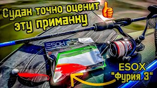 Ловля осеннего СУДАКА на спиннинг! Резина которая ловит!!! Рыбалка на Берди...