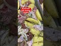 Vamos a darle caña al pulpo #pulpo #seafood #parati #comida #cocinatradicional #food