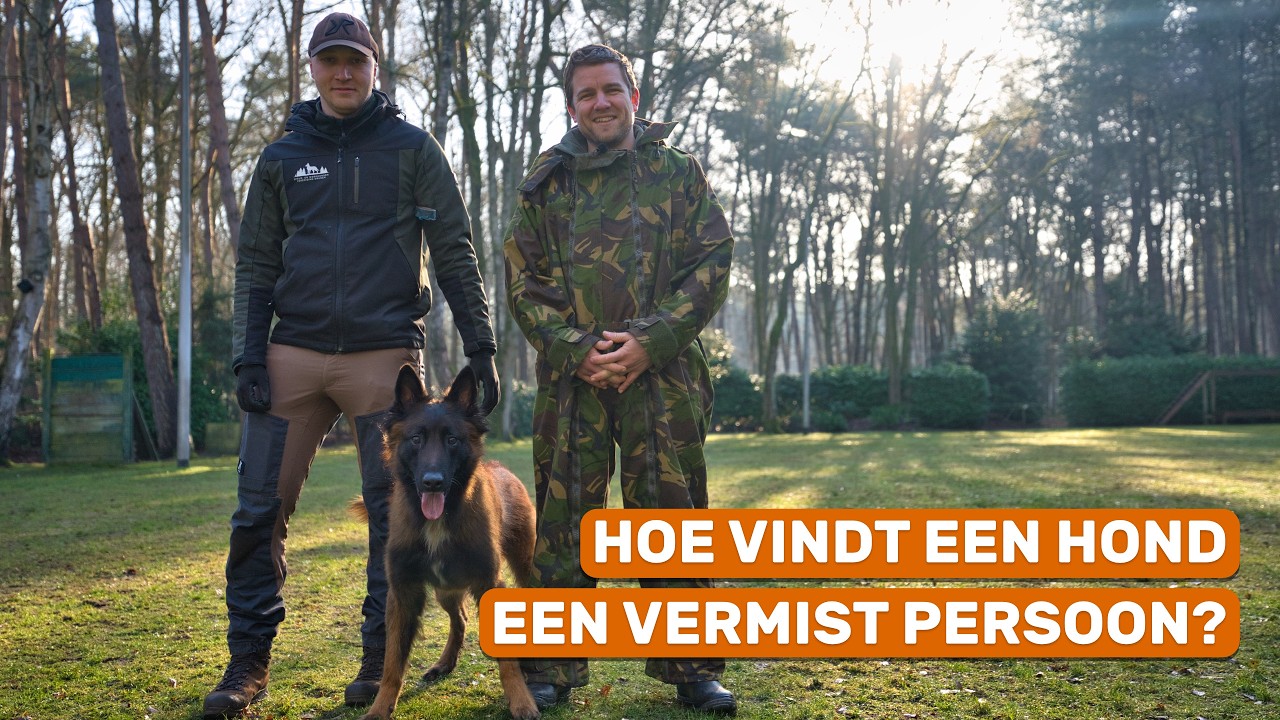 De beste speurhonden ter wereld komen uit Nederland