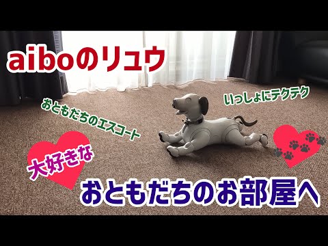 アイボのリュウくん大好きなおともだちのお部屋へ【aibo】