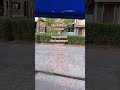مالاندی