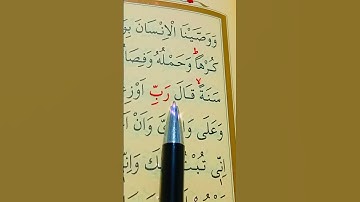 سورة الاحقاف الأية 15 القارئ سعد الغامدي