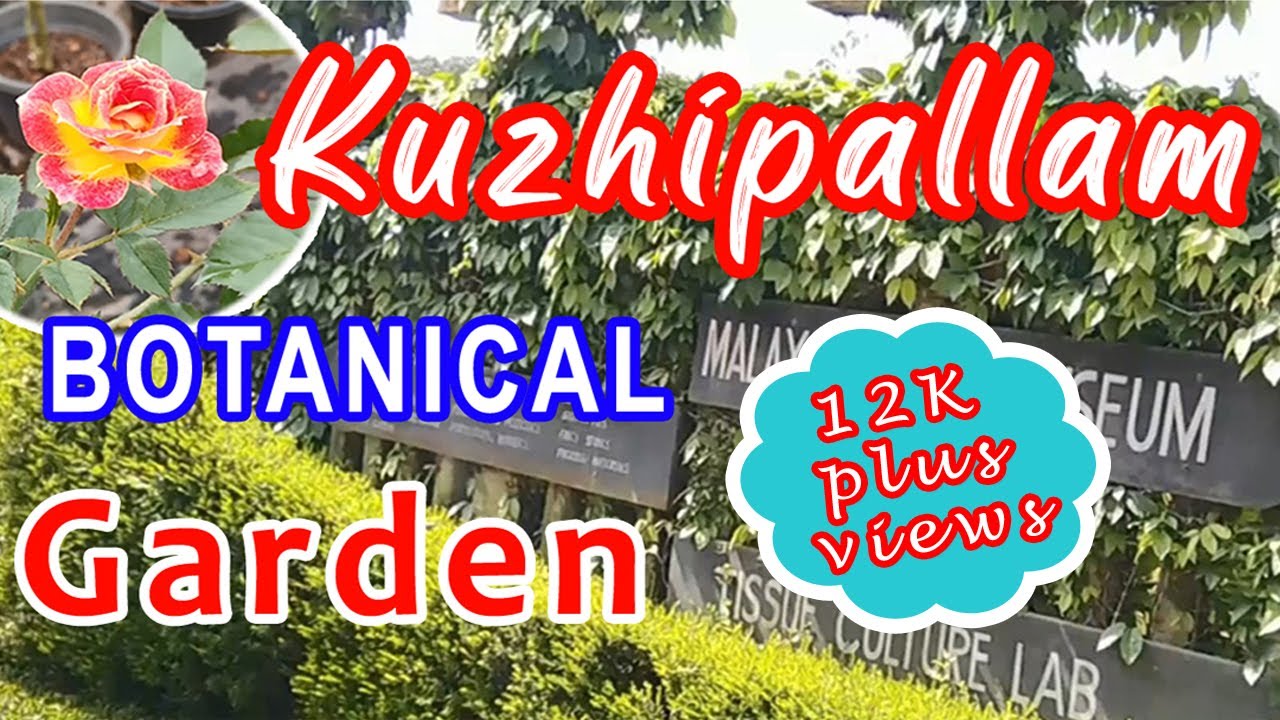 Botanical Garden vibe Bonsai Museum #Kuzhipallam Thiruvananthapuram