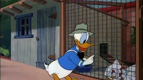 Donald at the Greener Yard