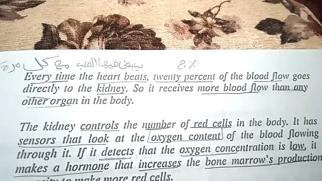حل اسئله و شرح درس The Kidneys تانيه ثانوي تمريض