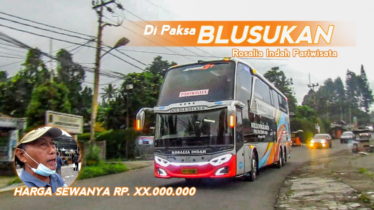 [Dipaksa BLUSUKAN] Segini Harga SEWANYA😱 Bus Pariwisata Rosalia Indah ...
