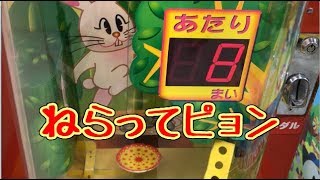 メダルゲーム】ねらってピョン【JAPAN ARCADE】 - YouTube