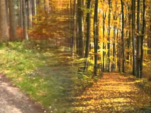 Das ewige Lied