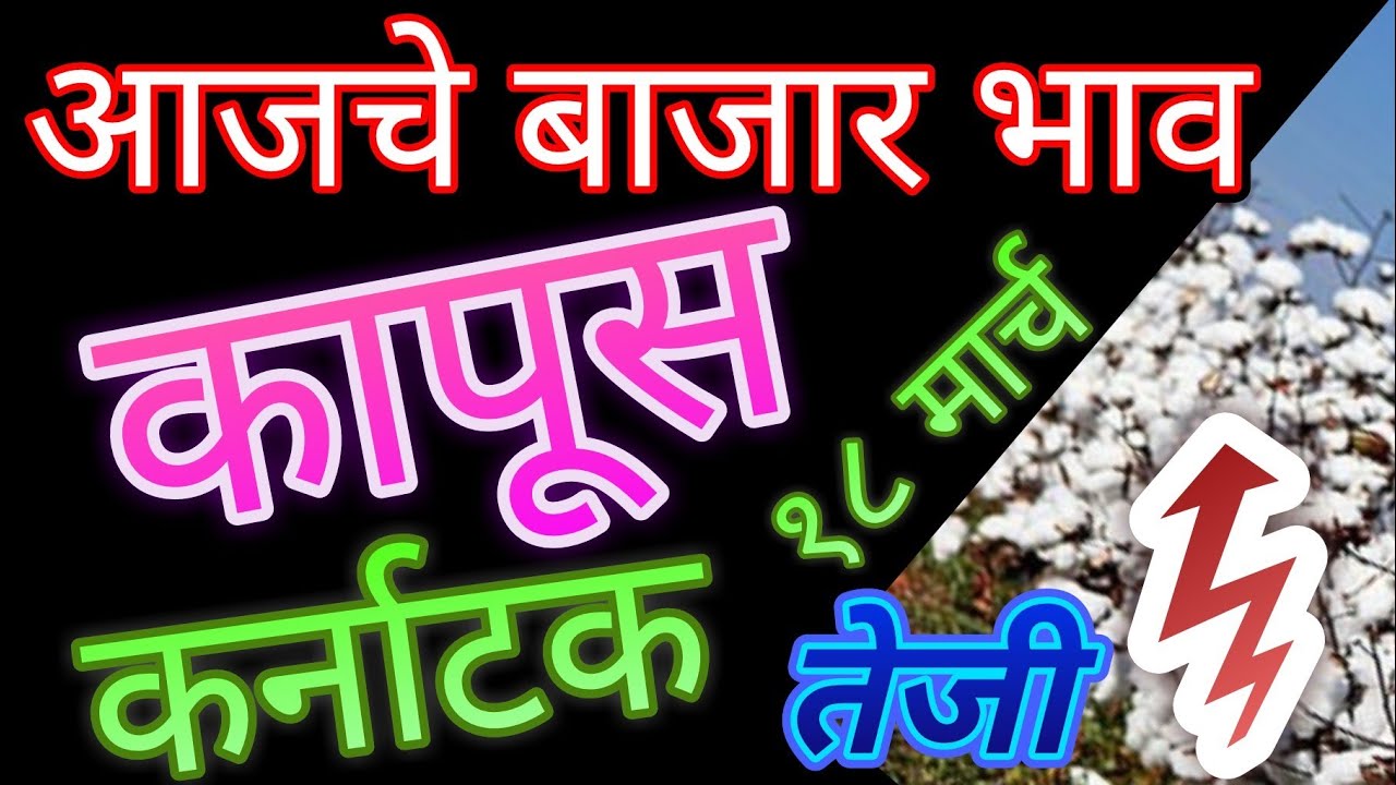 कापूस बाजार भावात वाढ पाहुयात कापसाचे बाजार भाव कर्नाटक मधील ## cotton price in Karnatka