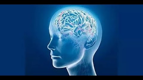 The Pros and Cons of Artificial Intelligence: What You Need to Know.