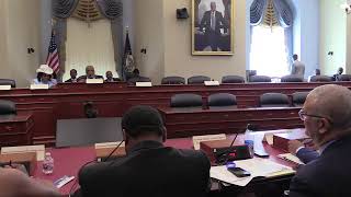 Hearing-Style Briefing on Suicide and the Mental Health of Black Men and Boys