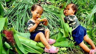 Widowed mother. Go with your children to pick melons to sell at the market. buy duck