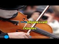 Казан Казиев - Скрипач (&quot;Караоке&quot;)