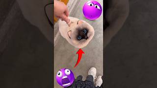 3 Crazy School Bags You Dont Have