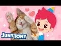 🐾💖 You Are the Cutest Thing! | A Song for My Pet | Animal Songs for Kids | JunyTony