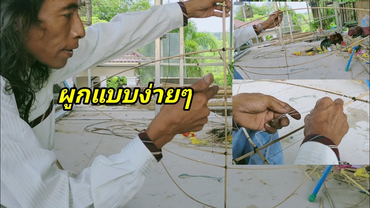 บังหมาดมาผูกสายซุงว่าวหลาใบแข่ง