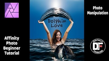 Dolphin Love a beginner Affinity Photo tutorial. Photo manipulation.
