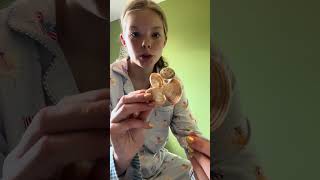 make a shell jewelry holder with me! ￼
