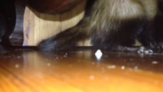 What's really going on under the desk