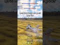 Insane luck ngl