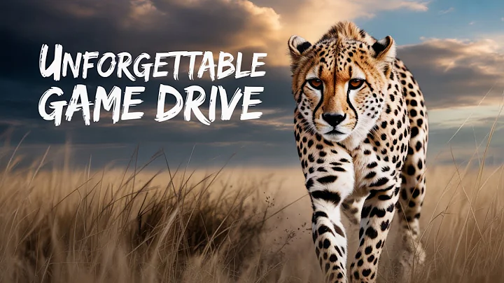 Masai Mara safari adventures part 2 | Lions, Hippos, Elephants, African Buffaloes, Cheetah