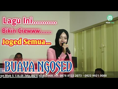 BUAYA NGOSED-SESHIN-JEMBRONG BEKEN SAWER ONLINE TANGGAL 17 AGUSTUS 2021