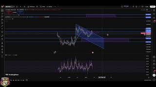 Crypto Analysis: Dogecoin, Jasmy, Zebec, Bitcoin Cash Weekly Updates