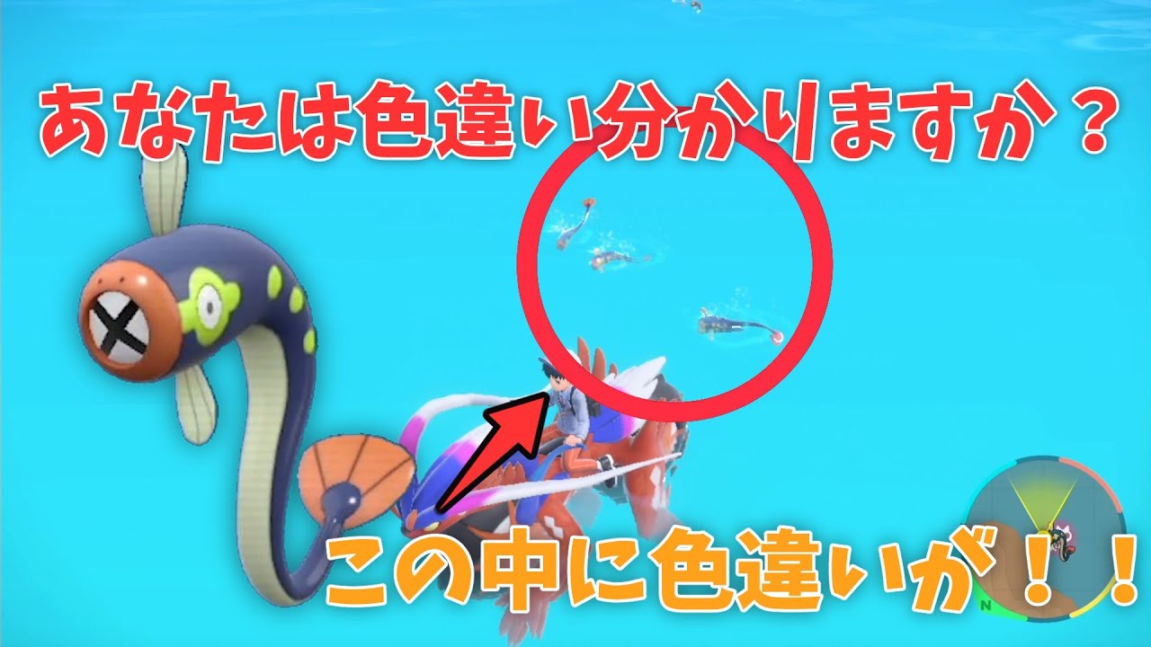 ポケモンSV】シビビールの色違い見分け方講座！悩める厳選勢に届け 