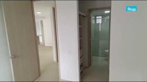 WhatsApp Video 2025 11 06 at 11 31