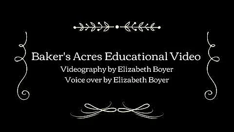 Ag Computers Video Project- Elizabeth Boyer
